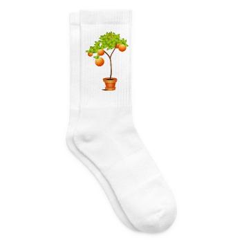 Kleiner Orangenbaum im Blumentopf - Tennissocken - Weiß - Rechts