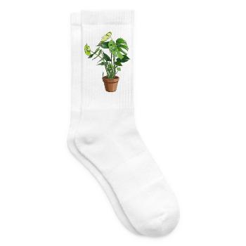 Monstera im Topf – Dschungelblätter - Tennissocken - Weiß - Rechts