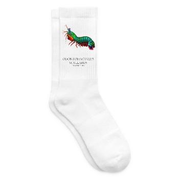 Pfauen-Gottanbeterin-Garnelen-Illustration - Tennissocken - Weiß - Rechts