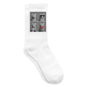 Katzen orange Tabby Katze - Tennissocken - Weiß - Rechts