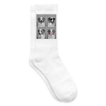 Hunde Australian Shepherd Hund - Tennissocken - Weiß - Rechts
