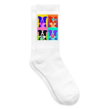 Hunde Border Collie Hund - Tennissocken - Weiß - Rechts