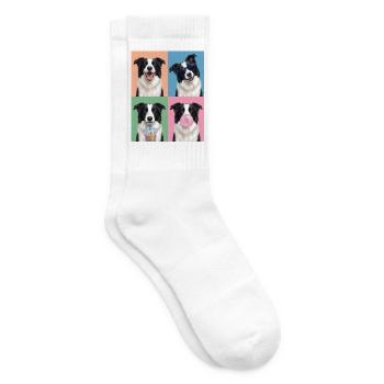 Hunde Border Collie Hund - Tennissocken - Weiß - Rechts