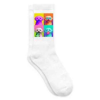 Hunde Malteser Hund - Tennissocken - Weiß - Rechts