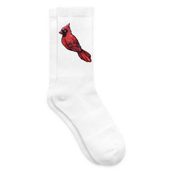 Roter Kardinal-Sketch - Tennissocken - Weiß - Rechts
