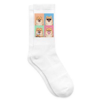 Hunde Zwergspitz Hund - Tennissocken - Weiß - Rechts