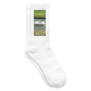 Swans by the water in morning light - Tennis socks - white - Right