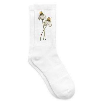 Rote Marienkäfern auf Echinacea-Blume Abbildung - Tennissocken - Weiß - Rechts