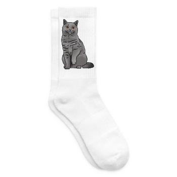 Britisch Kurzhaar Katze - Tennissocken - Weiß - Rechts