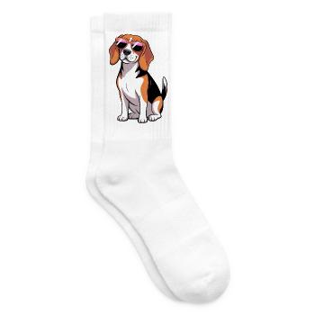 Beagle-Hund mit Sonnenbrille - Tennissocken - Weiß - Rechts