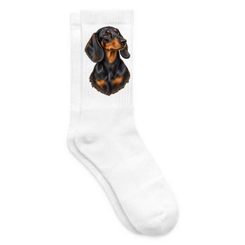 Dackel Porträt – Schwarz-brauner Hundeblick - Tennissocken - Weiß - Rechts