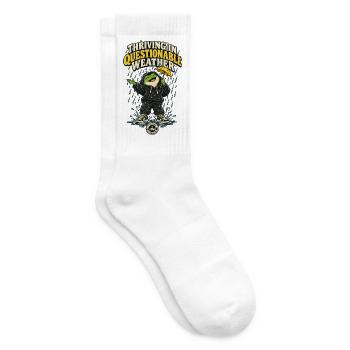 RobVibe Wild Club – Frosch bei fragwürdigem Wetter - Tennissocken - Weiß - Rechts
