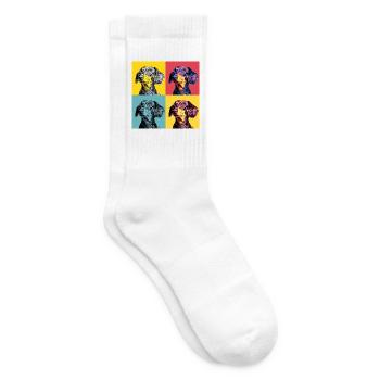 Quad Pop Art Teckel - Chaussettes de tennis - blanc - Droite