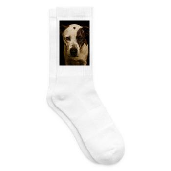 My Dog Buddy - Tennis socks - white - Right