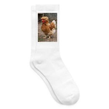 Chicken with Hair Retro - Tennis socks - white - Right