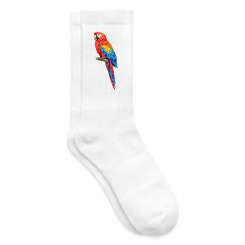 Vibrant parrot coloring - Tennis socks - white - Right