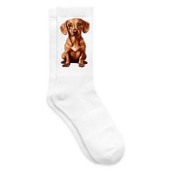 Cute dachshund with big eyes - Tennis socks - white - Right