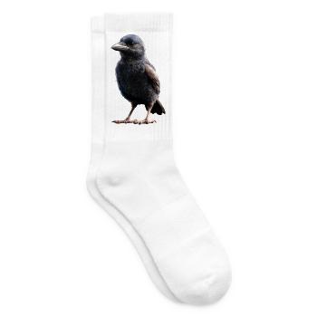 Rabe Krähe Vogel Rabenkrähe Dohle Schwarze Raben - Tennissocken - Weiß - Rechts