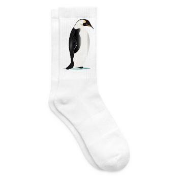 Élégant pingouin graphique sur glace - Chaussettes de tennis - blanc - Droite