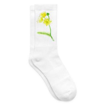Yellow Lime Blossom Illustration - Watercolors - Tennis socks - white - Right