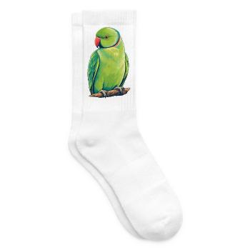 Kölner Halsbandsittich Retro - Tennissocken - Weiß - Rechts