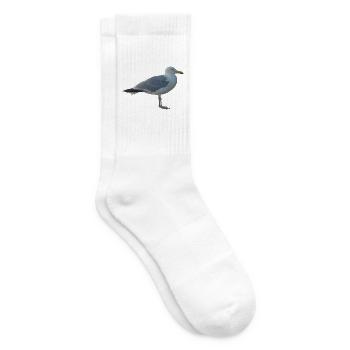 Gull - Tennis socks - white - Right