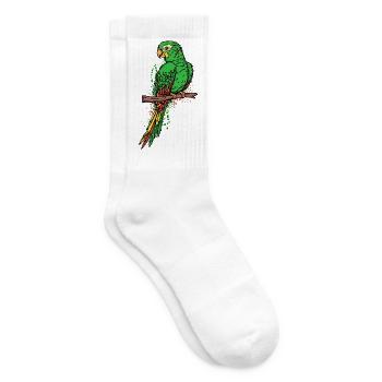 Animal, Zoo, Bird, Parrot, Bird Lover, Pet - Tennis socks - white - Right