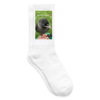  Süße Dohle - Kleiner Schatz - Tennissocken - Weiß - Rechts