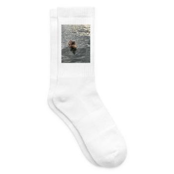 Ente auf ruhigem Wasser - Tennissocken - Weiß - Rechts