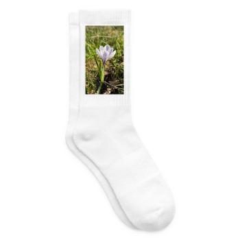 crocus - Tennis socks - white - Right