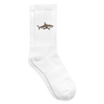 requin_pointe_noir - Tennissocken - Weiß - Rechts