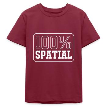 GIS Analyst Cartography Geography Geography - Teens Organic T-shirt by Stanley/Stella - burgundy - Front