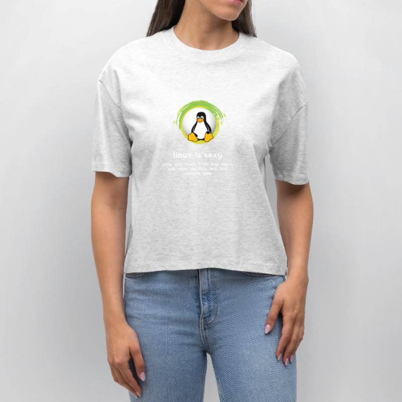 Computer System Penguin Nerd pc inside code admin Stanley/Stella Nova Women’s Boxy Organic T-Shirt
