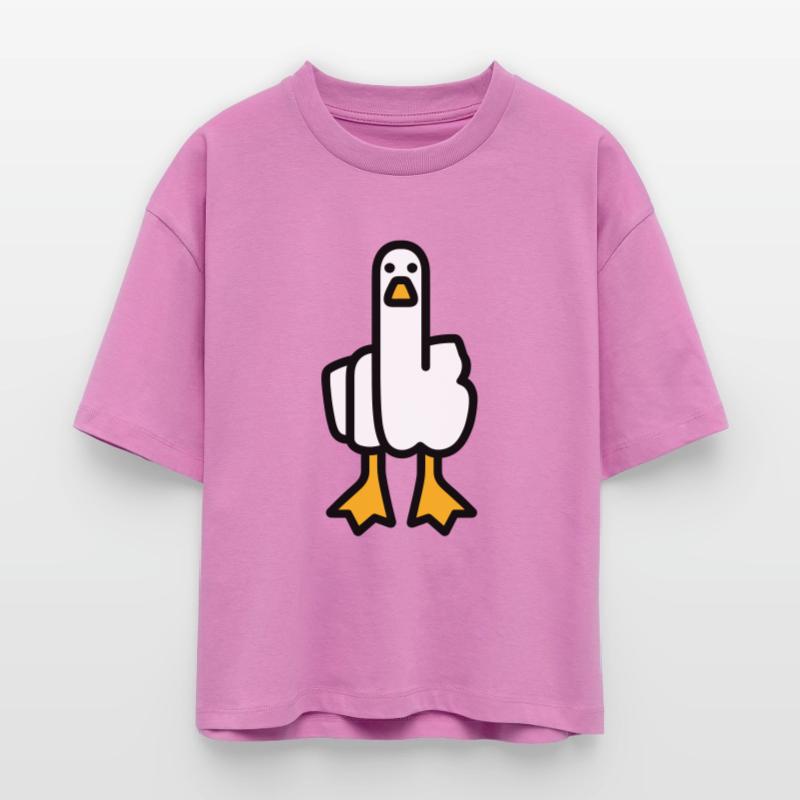 Statement Goose Stanley/Stella Nova Women’s Boxy Organic T-Shirt