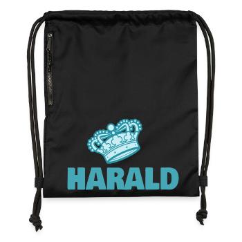 First name Harald - Gymsac made from recycled material - black - Front
