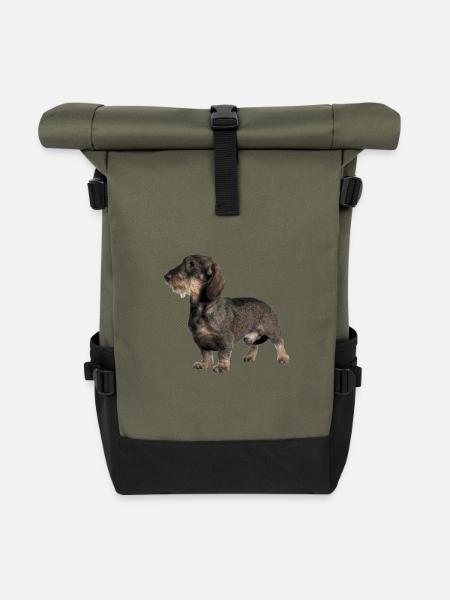 Rauhhaardackel - Rolltop Rucksack - Olive/Schwarz