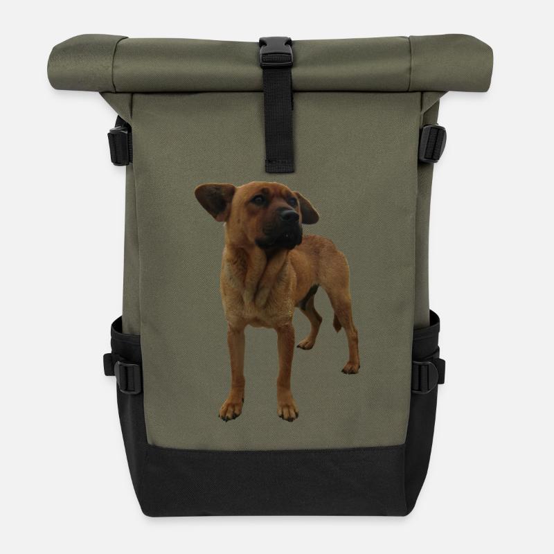 Dog - Roll Top Backpack - olive/black