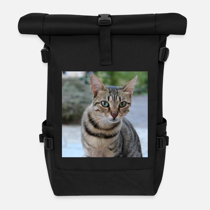 Katze Kätzchen Poster quadratisch Katzenposter - Rolltop Rucksack - Schwarz