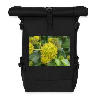 Persischer Efeu (Kolchischer Efeu) - Rolltop Rucksack - Schwarz - Vorne