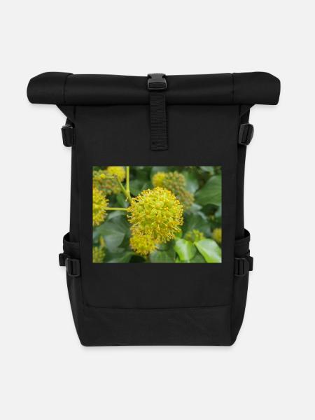 Persischer Efeu (Kolchischer Efeu) - Rolltop Rucksack - Schwarz
