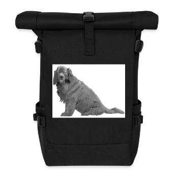 Nouvelle vignette terre-neuvienne - Sac à dos roll top - noir - Devant