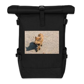 Frischling Wildschwein (Sus scrofa) im Wald - Rolltop Rucksack - Schwarz - Vorne