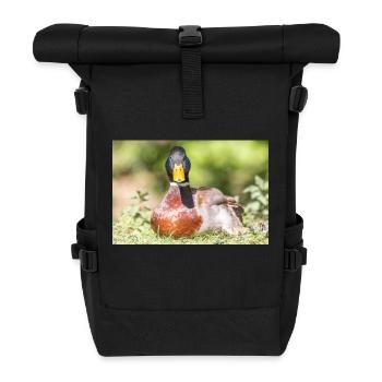 Male Mallard, wild duck (mallard) - Roll Top Backpack - black - Front