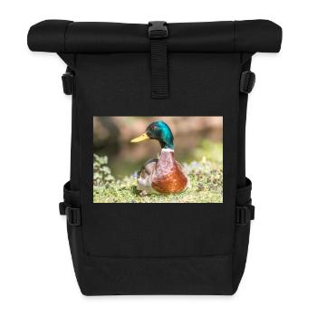 Male Mallard, wild duck (mallard) - Roll Top Backpack - black - Front