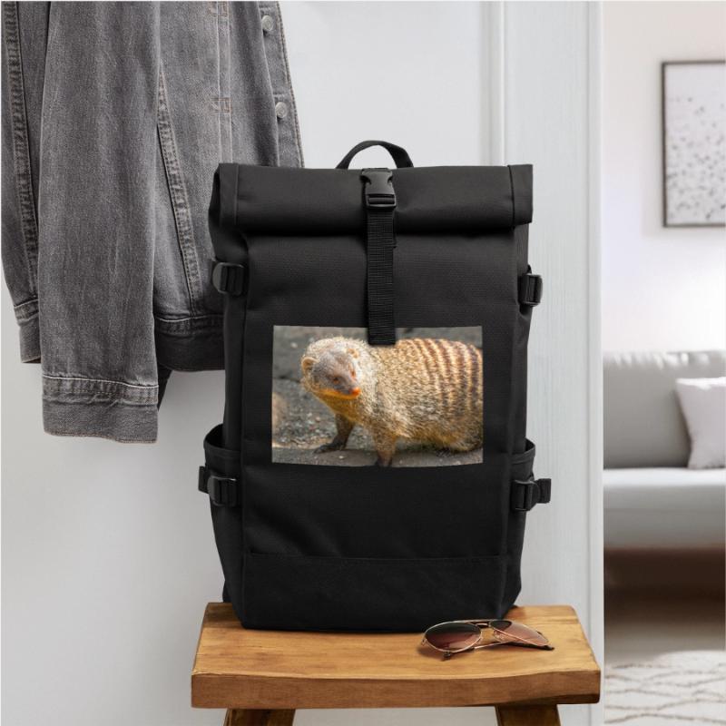 Gebänderte Manguste oder Zebramanguste Rolltop Rucksack