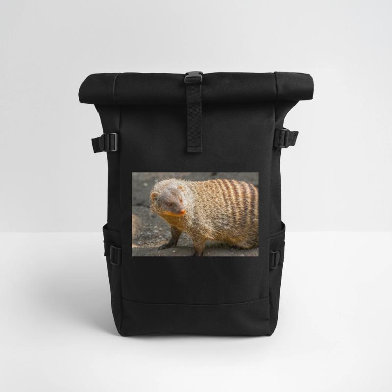 Rolltop Rucksack