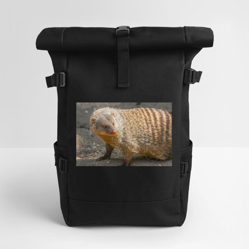 Gebänderte Manguste oder Zebramanguste Rolltop Rucksack