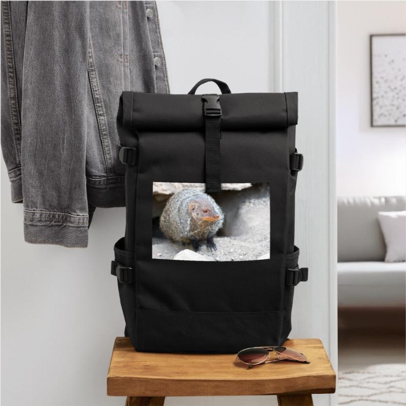 Gebänderte Manguste oder Zebramanguste Rolltop Rucksack