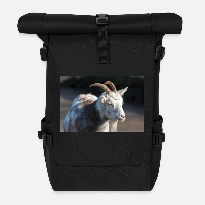 Dwarf Goat or Miniature Goat Zwergziege - Roll Top Backpack - black