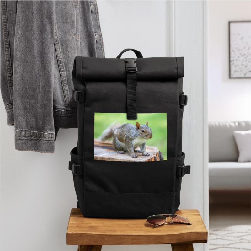 Grey squirrel Grauhörnchen Sciurus carolinensis Roll Top Backpack